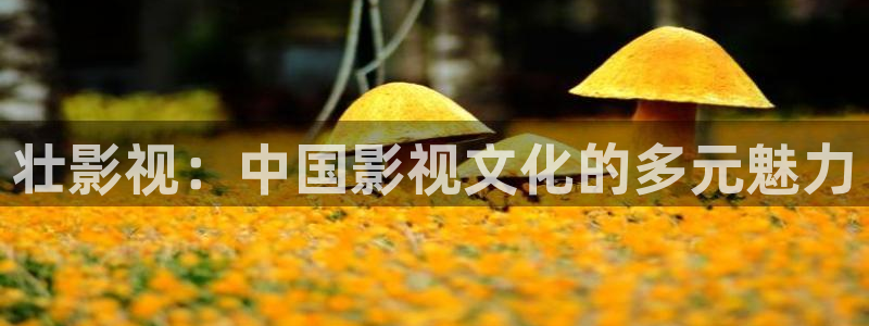 嫩草影院网页：壮影视：中国影视文化的多元魅力