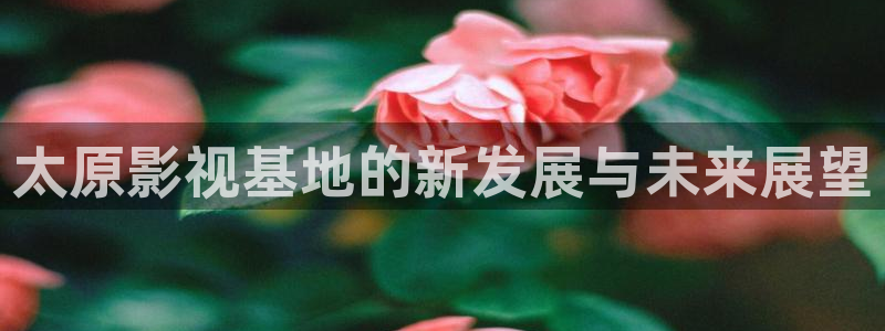 嫩草影院的登录方式：太原影视基地的新发展与未来展望