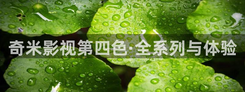 嫩草影院成人