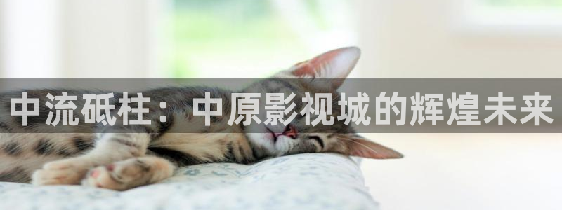 国产精品嫩草69影院：中流砥柱：中原影视城的辉煌未来