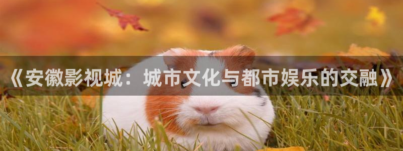 嫩草影院3区